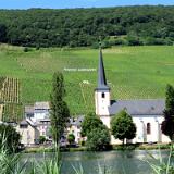 1907G 031 Mosel Piesport